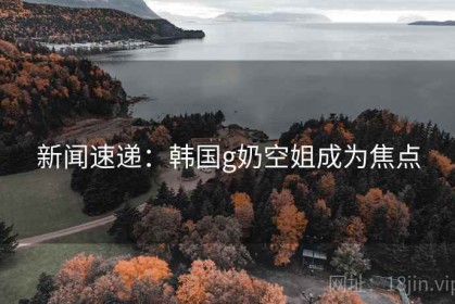 新闻速递：韩国g奶空姐成为焦点