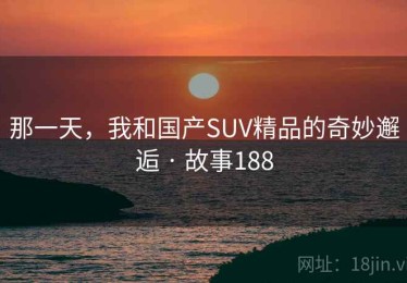 那一天，我和国产SUV精品的奇妙邂逅 · 故事188