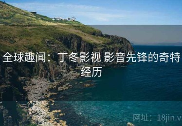全球趣闻：丁冬影视 影音先锋的奇特经历
