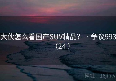 大伙怎么看国产SUV精品？ · 争议993（24 ）