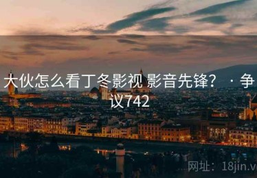 大伙怎么看丁冬影视 影音先锋？ · 争议742