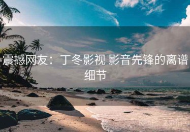 震撼网友：丁冬影视 影音先锋的离谱细节