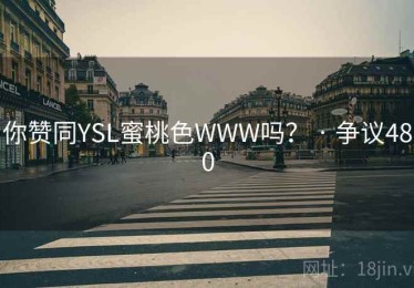 你赞同YSL蜜桃色WWW吗？ · 争议480