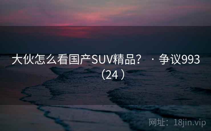 大伙怎么看国产SUV精品？ · 争议993（24 ）